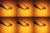 A mosquito is examined with a scientific tool on a warm amber surface. The image is repeated six times—two rows of three.