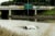 Photo of a car nearly covered by floodwaters near a highway overpass.