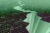 Illustration: Green binary code on a black surface with an earthquake-like crack through the center.