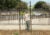 Ladale Hayes inspects a young tree in a yard next to a sidewalk and black fence. The tree is supported between two metal poles with blue ribbon.