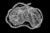 A black-and-white illustration of a placenta.