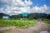A green road sign reads "Kydrem" on a dirt road along a field in rural northeastern India. A family walks the path in the distance.