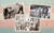 Photo illustration: Three historical images are scattered on a piece of old, growing paper overlaid with the colors of the trans flag. The images from left to right: Nazi officials sort through a large pile of papers, pamphlets, books and photos scattered on the floor from the Institute for Sexual Science; participants in a Gay Pride parade from the 1970s hold signs of Joseph Stalin, Anita Bryant, the KKK and Idi Amin; a banner hangs across a large black wrought iron fence in New York City. The banner is rainbow-colored, has large flowers, and has an image of Marsha P Johnson smiling and holding a megaphone.