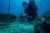 An ARMS in Bali and a diver gathering a sample.