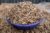 A purple bowl overflowing with small dried fish at a market in Africa.